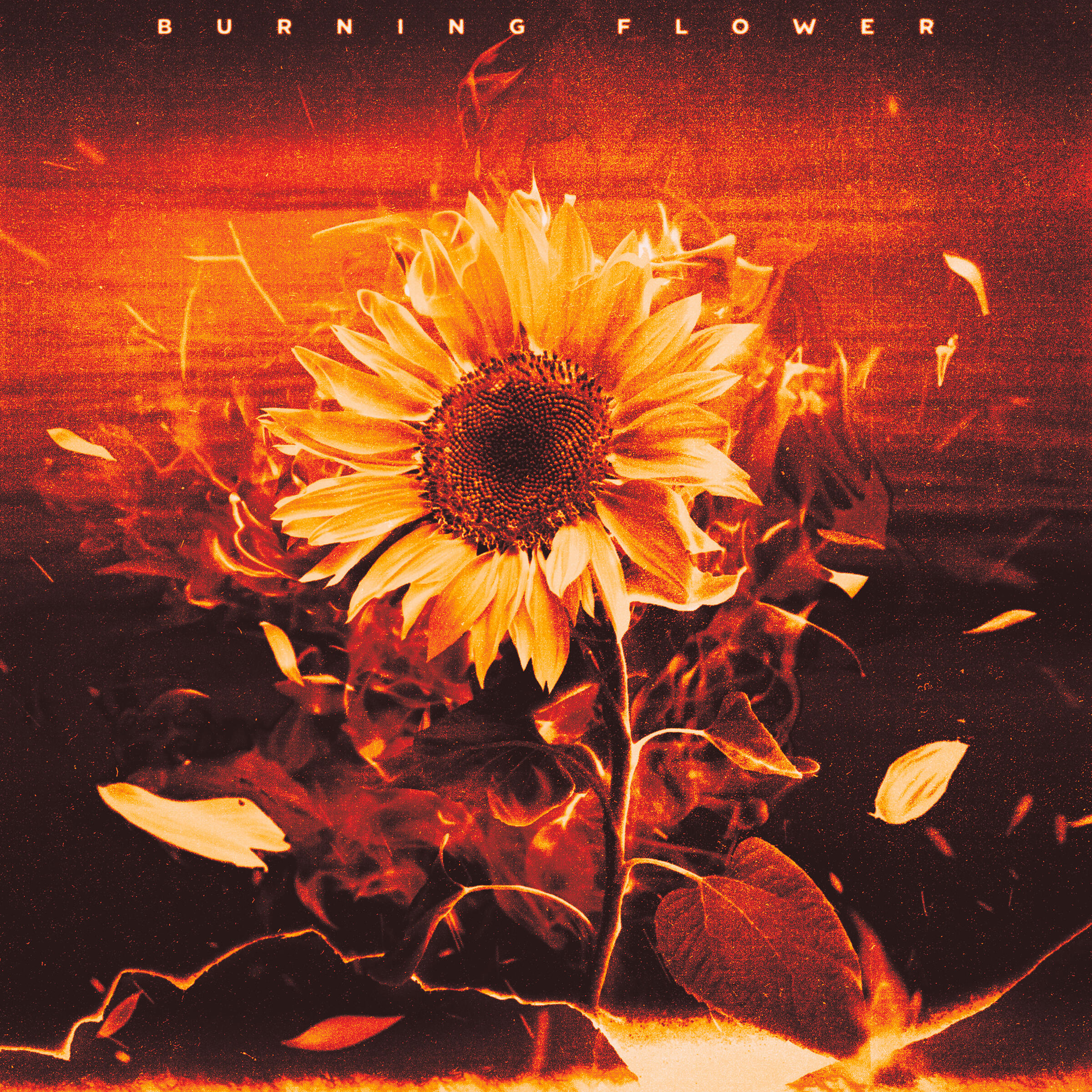 HANA Burning Flower HANA Burning Flower